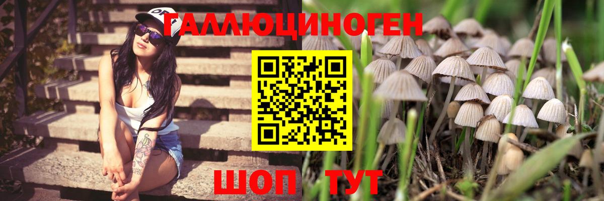 Псилоцибиновые грибы Magic Shrooms Шебекино