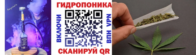 МАРИХУАНА сатива  Шебекино 